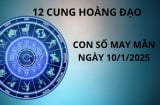 Tử vi ngày 10/1 con số may mắn tặng cho 12 cung hoàng đạo nhanh chân hái lộc nhà trời, vàng bạc đầy túi