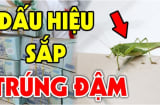 5 loài vật đệ tử Thần Tài bước vào điềm báo phát tài đang tới: Chỉ 1/5 cũng giàu có