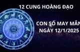 Tử vi ngày 12/1 con số may mắn cho 12 chòm sao nhận lộc trời ban, hứng vàng hốt bạc đầy tay