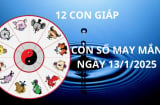 Tử vi ngày 13/1 con số may mắn của 12 con giáp, ai nhanh thì hốt vàng hốt bạc trúng lớn đổi đời