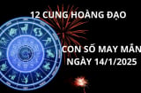 Tử vi ngày 14/1 con số may mắn cho 12 cung hoàng đạo hứng lộc cửa cô cửa cậu nhặt vàng hốt bạc