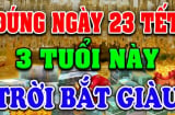 Sau Tết ông Công ông Táo: 3 tuổi Ước Gì Được Nấy, phát tài giàu khủng, đặc biệt tuổi số 2