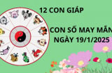 Tử vi ngày 19/1 con số may mắn số vàng tài lộc giúp 12 con giáp gặt hái thành công tình tiền tốt lành