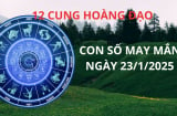 Tử vi ngày 23/1 con số may mắn mang cơn mưa vàng tài lộc tới 12 cung hoàng đạo giúp đổi đời giàu có