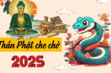 Phật độ người hữu duyên: 4 con giáp phú quý theo chân, an nhàn hưởng phước năm 2025