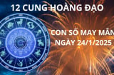 Tử vi ngày 24/1 con số may mắn chứa đựng vận may giữ vàng giữ bạc cho 12 cung hoàng đạo