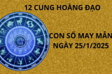 Tử vi ngày 25/1 con số may mắn gánh lộc Thánh đổ vào 12 cung hoàng đạo, gia đình phát tài tiền như nước