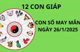 Tử vi ngày 26/1 con số may mắn trời thương ban lộc cho 12 con giáp cuối năm âm lịch sung túc