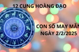 Tử vi ngày 2/2 con số may mắn số vàng tài lộc dành tặng 12 cung hoàng đạo nhanh chân trúng hố vàng