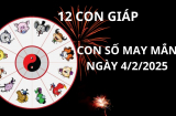 Tử vi ngày 4/2 con số may mắn cho 12 con giáp hái lộc đầu năm gom góp giàu sang tình tiền thuận lợi