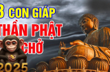 3 con giáp Phật độ Trời thương, ăn ở hiền lành một đời vinh hiển