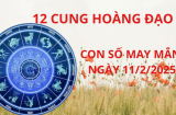 Tử vi ngày 11/2 con số may mắn giấu vàng trữ bạc cho 12 cung hoàng đạo gặp vận đổi đời