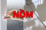 Nhà nồm ẩm đừng bật quạt hay mở toang cửa: Chỉ cần làm cách này nhà khô ngay trong 10 phút