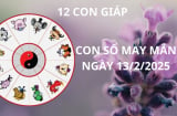 Tử vi ngày 13/2 con số may mắn cho 12 con giáp cơ hội nhận ơn trên thu vàng hút bạc, tiền đầy két