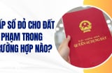 Năm 2025: 4 trường hợp đất vi phạm được cấp Sổ Đỏ người dân nên biết kẻo mất quyền lợi