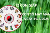 Tử vi ngày 19/2 con số may mắn cho 12 con giáp nhận lộc tổ tiên qua đêm trúng lớn đổi vận giàu sang