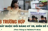 6 trường hợp bắt buộc đổi đăng ký xe, biển số xe: Chậm trễ sẽ bị phạt 6 triệu?