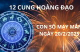 Tử vi ngày 20/2 con số may mắn giúp 12 chòm sao đổi đời sang trang mới tình phơi phới, tiền đè giàu sụ