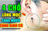 Lông mọc chỗ này điềm báo phát tài: Ngồi không cũng giàu, ai có thật đáng chúc mừng