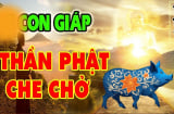 3 con giáp may mắn có Phật Bà bảo vệ, cả đời gặp Hung sẽ hóa Cát Lành