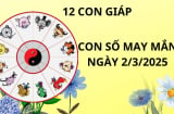 Tử vi ngày 2/3 con số may mắn cho 12 con giáp nhận lộc nhà trời gánh lộc nhà Thánh, tiền đè giàu sụ