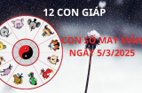 Tử vi ngày 5/3 con số may mắn Thần tài nhả lộc, 12 con giáp nhanh chân hứng trọn giàu có hơn người