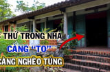 Trong nhà có 3 thứ to càng dễ nghèo túng, con cháu khó 'phất', 3 thứ đó là gì?