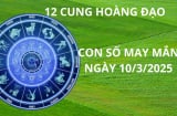 Tử vi ngày 10/3 con số may mắn thu vàng hút bạc cho 12 cung hoàng đạo gặp vận giàu sang