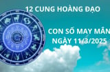 Tử vi ngày 11/3 con số may mắn giàu tài lộc tặng cho 12 cung hoàng đạo nhanh chân đổi đời phút chốc