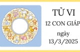 Tử vi ngày 13/3 của 12 con giáp: Tuổi Hợi đột phá trong sự nghiệp, tuổi Mão nhanh chóng vượt qua khó khăn