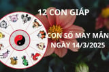 Tử vi ngày 14/3 con số may mắn Thần tài ban lộc cho 12 con giáp gặp thời đổi vận giàu sang