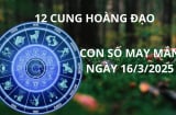 Tử vi ngày 16/3 con số may mắn số vàng tài lộc cho 12 cung hoàng đạo