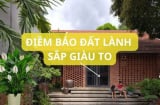 Tổ tiên căn dặn: Bỗng dưng vị khách này tới nhà thì đừng khó chịu, gia đình sắp giàu to, nghênh đón chu đáo