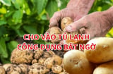 Khoai tây luộc xong cho vào tủ lạnh, công dụng bất ngờ cho sức khỏe, nhiều người sẽ tiếc giá như biết sớm hơn