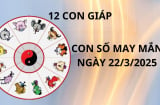 Tử vi ngày 22/3 con số may mắn mang lộc Tổ tiên cho 12 con giáp xoay vận giàu sang