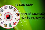 Tử vi ngày 24/3 con số may mắn cho 12 con giáp cơ hội hốt vàng gánh bạc về nhà