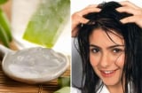 Lấy loại lá này bôi lên đầu: Tóc con mọc tua tủa, lại sạch gàu, khỏe mạnh, Việt Nam có rất nhiều
