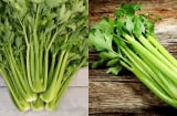 Loại rau ít thuốc trừ sâu, phụ nữ sau 40 tuổi nên ăn để nội tiết dồi dào