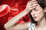 Người thiếu máu đừng chỉ ăn táo đỏ! Chuyên gia bổ máu khuyên ăn 4 loại thực phẩm này để cải thiện tình trạng