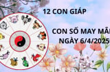 Tử vi ngày 6/4, con số may mắn Thần tài ban vàng phát bạc cho 12 con giáp, ai may mắn nhất hôm nay?