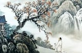 Nỗi sợ người xưa: Cây lớn trước cửa bể cá sau nhà, hao tài tốn của. Điều đó nghĩa là sao?
