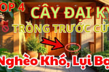 3 không đắt trước nhà, 4 không trồng trong vườn: Đó là gì?