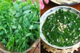 Rau ngót ngon - bổ - rẻ nhưng có 5 nhóm người không nên ăn
