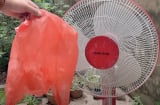 Vệ sinh quạt điện không cần tháo khung, làm theo cách này là loại bỏ hết bụi bẩn