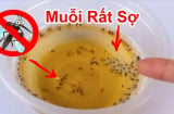 Muỗi sợ nhất 1 bát nước: Khuấy lên rồi đặt góc nhà, muỗi bay đi hết, yên tâm mà ngủ