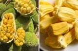 Ai không nên ăn mít, dù chín ngọt cũng không được động tới một miếng?