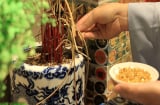 Nhà có 5 thứ đứng im Phước Lộc bền, dịch chuyển là mất lòng Thần Tài, người lẫn của khốn khó