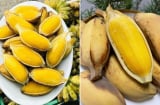 Cơ thể nhận được 6 lợi ích tuyệt vời này nếu mỗi ngày ăn 1 quả chuối luộc