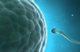 Nam giới nên xuất binh 3–5 ngày/lần: Lợi ích bất ngờ cho sức khỏe sinh lý & tinh thần