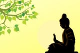 3 loại cây linh thiêng gắn liền với cuộc đời Đức Phật. Là cây gì?